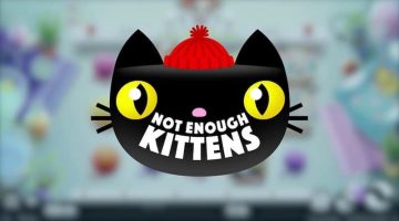 not enough kittens slot