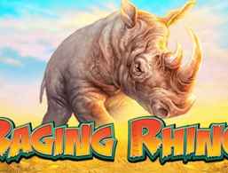 Raging Rhino slot