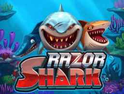 Razor Shark slot