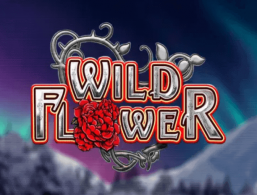 Wild Flower slot
