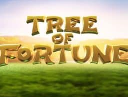 Tree of Fortune slot