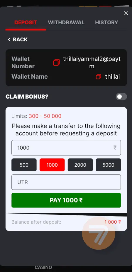 screenshot how to deposit step 3