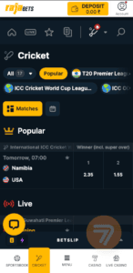 sports betting lobby at rajabets
