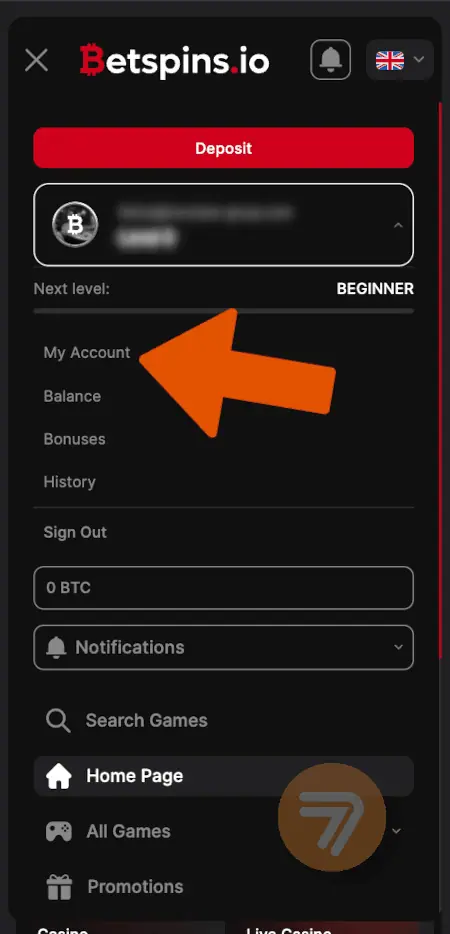 screenshot how to withdraw step 3
