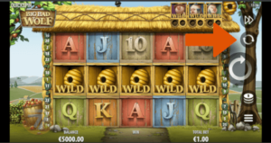 screenshot of slot showing where to activate auto spin