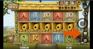 screenshot of slot showing where to adjust bet level