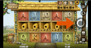 screenshot of slot showing where to spin the reels