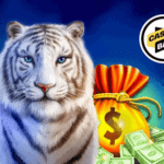 ilustração da promoção com bônus de cashback.